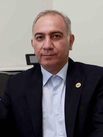 Babak Farzinnia